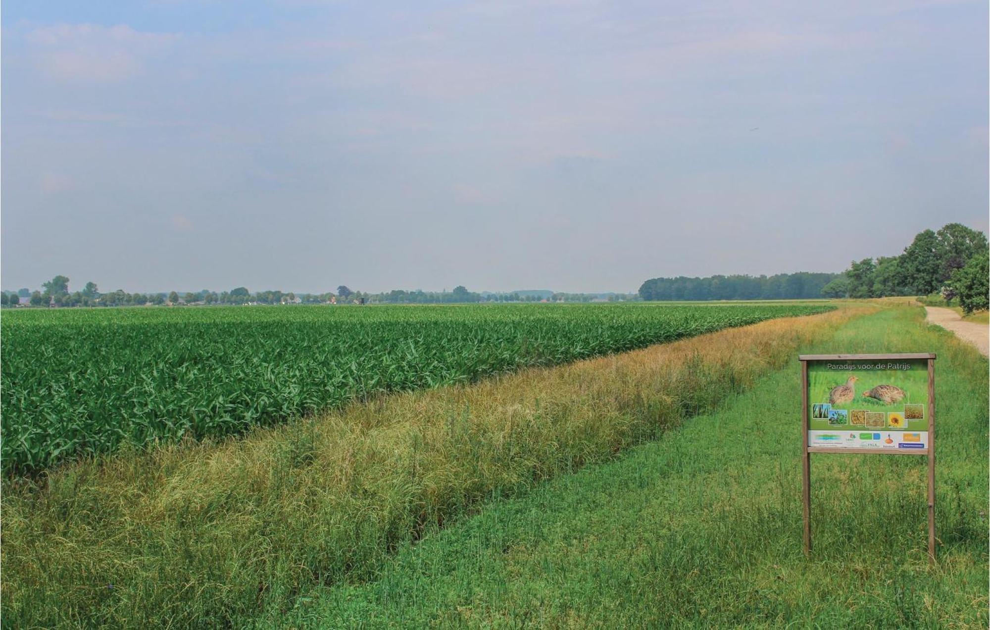 Loerbeek Stevenshofヴィラ エクステリア 写真